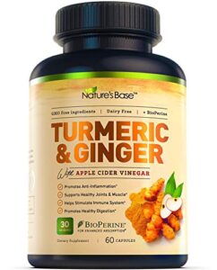 turmeric curcumin supplement with ginger & apple cider vinegar, bioperine black pepper, tumeric & ginger, 95% curcuminoids & joint supplement, antioxidant tumeric supplements capsules, nature’s base
