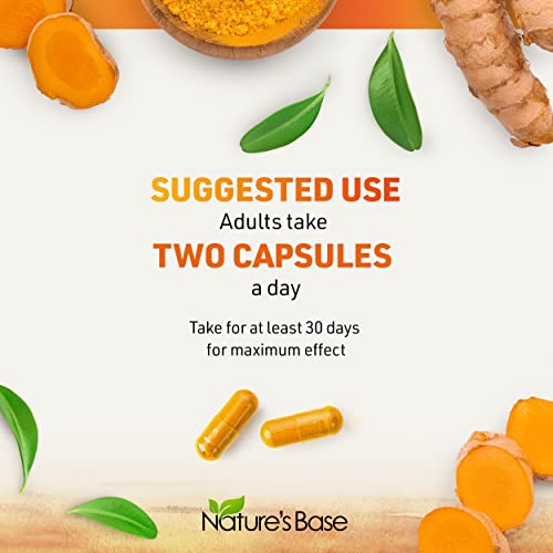 Turmeric Curcumin Supplement with Ginger & Apple Cider Vinegar, BioPerine Black Pepper, Tumeric & Ginger, 95% Curcuminoids & Joint Supplement, Antioxidant Tumeric Supplements Capsules, Nature's Base