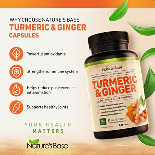 Turmeric Curcumin Supplement with Ginger & Apple Cider Vinegar, BioPerine Black Pepper, Tumeric & Ginger, 95% Curcuminoids & Joint Supplement, Antioxidant Tumeric Supplements Capsules, Nature's Base