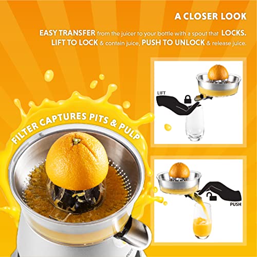 Eurolux Die Cast Stainless Steel Electric Citrus Juicer Squeezer, for Orange, Lemon, Grapefruit | 300 Watts of Power, With 2 Stainless Steel Filter Sizes for Pulp Control