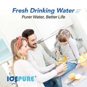 ICEPURE 5 Micron 10" x 4.5" Whole House Water Filter Compatible with GE FXHTC, GXWH40L, RFC-BBSA, W50PEHD, GXWH35F, GNWH38S, Dupont WFHD13001, R50-BB, Pack of 2