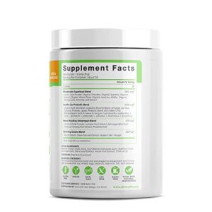 SkinnyFit Mango Splash Skinny Greens, Green Juice Superfood Powder, Natural Energy & Focus, Reduce Bloating, Helps Reduce Inflammation, Spirulina, Chlorella, 30 Servings