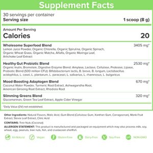 SkinnyFit Mango Splash Skinny Greens, Green Juice Superfood Powder, Natural Energy & Focus, Reduce Bloating, Helps Reduce Inflammation, Spirulina, Chlorella, 30 Servings