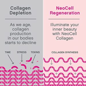 NeoCell Super Collagen Powder, 10g Collagen Peptides per Serving, Gluten Free, Keto Friendly, Non-GMO, Grass Fed, Paleo Friendly, Healthy Hair, Skin, Nails & Joints, Unflavored, 7 Oz