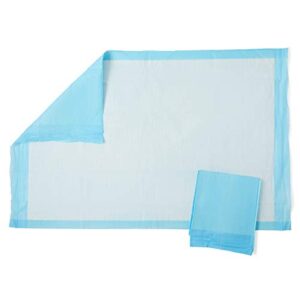 Medline Quilted Basic Disposable Blue Underpad, 23 x 36 for incontinence, Furniture Protection or Pet Pads (Pack of 150)