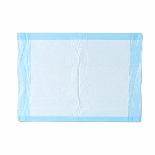 Medline Industries, Inc. MSC281224C Ultra Lightweight Tissue and Plastic 17” x 24” Disposable Underpad, Great For Changing Table and Surfaces, 300 Per Case