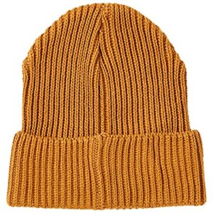 Patagonia Standard Beanie, buckwheat Gold, One Size