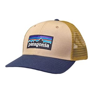 patagonia p-6 logo trucker hat (qartan w/new navy)