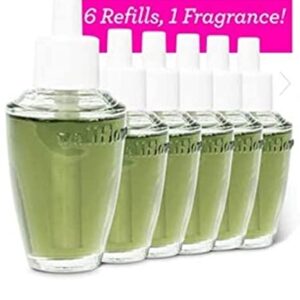 Bath and Body Works 6 Piece Pack Fresh Balsam (0.8 fl oz / 24 mL) Wallflowers Fragrance Refill