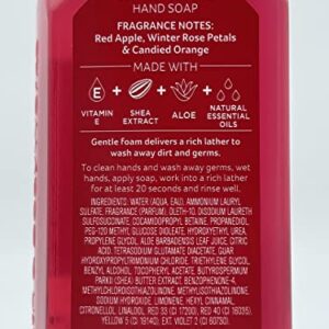 Bath And Body Works Holiday Trio Gentle Foaming Hand Soap, Set of 3