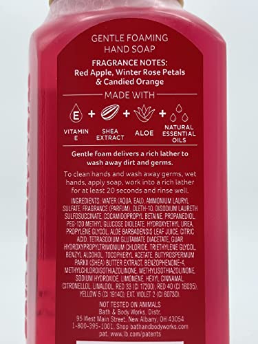 Bath And Body Works Holiday Trio Gentle Foaming Hand Soap, Set of 3