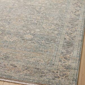 Loloi Angela Rose x Blake Collection BLA-01 Sky/Beige, Transitional 5'-3" x 7'-6" Area Rug