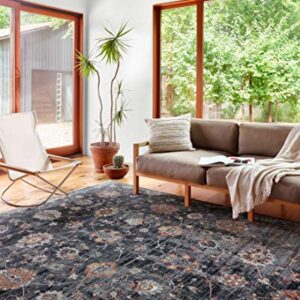 Loloi II Samra Collection SAM-08 Charcoal/Multi, Transitional 7'-10" x 10' Area Rug