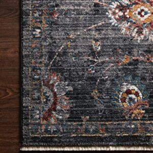 Loloi II Samra Collection SAM-08 Charcoal/Multi, Transitional 7'-10" x 10' Area Rug