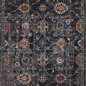 Loloi II Samra Collection SAM-08 Charcoal/Multi, Transitional 7'-10" x 10' Area Rug