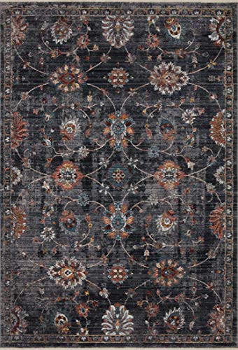 Loloi II Samra Collection SAM-08 Charcoal/Multi, Transitional 7'-10" x 10' Area Rug