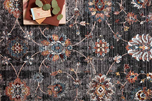 Loloi II Samra Collection SAM-08 Charcoal/Multi, Transitional 7'-10" x 10' Area Rug