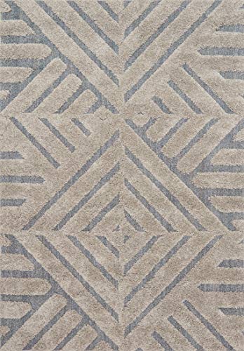 Loloi ENCOEN-32GYSL Indoor Area Rugs, 2'-3" x 8'-0" Runner, GrayGray