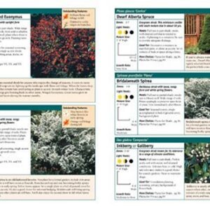 Landscaping 1-2-3: Regional Edition: Zones 7-10