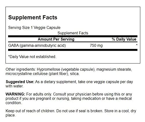 Swanson Amino Acid Maximum Strength GABA 750 Milligrams 60 Veg Capsules (2 Pack)