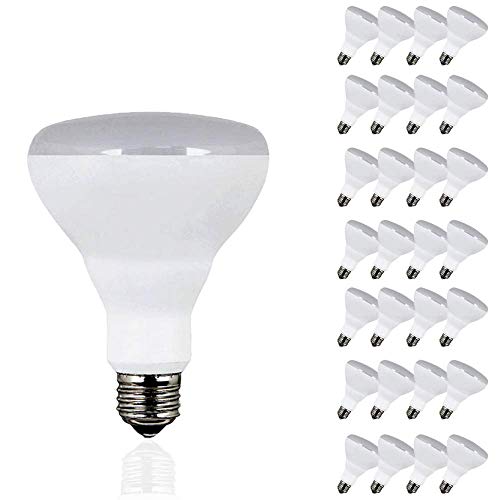 LED BR30 Dimmable Flood Bulb, 65W Replacement - 10 Watt - 650 Lumens - 2700K Soft White - Indoor/Outdoor Rated - UL & Energy Star,or Energy Star LED Downlight on Amazon. UL Listed (2700K - 48 Pack)