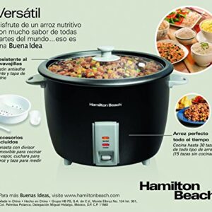 Hamilton Beach 30-Cup Rice Cooker, Aluminum (37550)