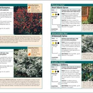 Landscaping 1-2-3: Regional Edition: Zones 5-6