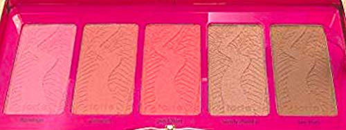 Tarte Life of the Party Clay Blush Palette and Clutch