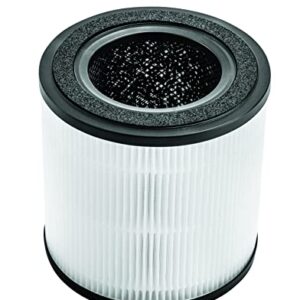 BISSELL® MYair™ Pro Replacement HEPA and Carbon Filter, 3069