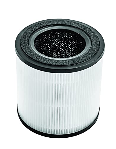 BISSELL® MYair™ Pro Replacement HEPA and Carbon Filter, 3069