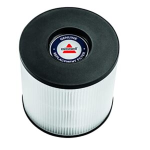 BISSELL® MYair™ Pro Replacement HEPA and Carbon Filter, 3069