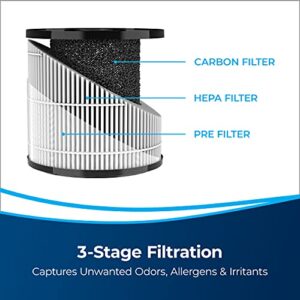 BISSELL® MYair™ Pro Replacement HEPA and Carbon Filter, 3069