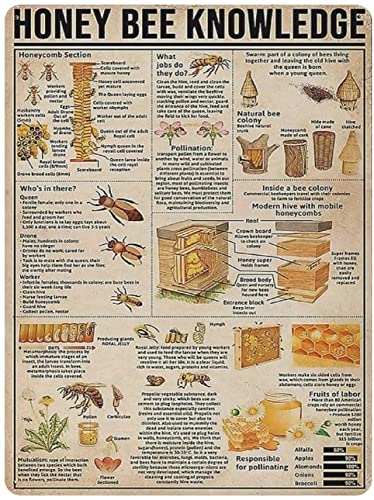 Honey Bee Knowledge Vintage Art Metal Tin Sign Bee Knowledge Home Decor Metal Plaque For Home Kitchen Studio Shop Farmhouse Countryside Wall Art Decor 8x12 Inch