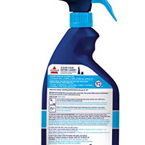 BISSELL Stain Pretreat for Carpet & Upholstery, 22 oz.