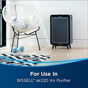 Genuine BISSELL® air220 Air Purifier Replacement HEPA + Pre-Filter and Activated Carbon Filter Pack, 3315 , Black