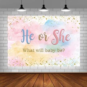 lofaris watercolor clouds he or she gender reveal backdrop rainbow boy or girl baby shower background glitter confetti sprinkles pink or blue what will baby be party decor cake table supplies 5x3ft