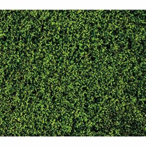 Funnytree 95" x 72" Nature Green Lawn Leaves Backdrop for Photography Background Greenery Grass Floordrop Pictures Party Ground Decor Outdoorsy Newborn Baby Shower Lover Wedding Photo Studio