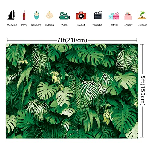 Tropical Palm Leaves Photography Backdrop for Picture 7x5FT Summer Jungle Safari Plants Photo Background Hawaiian Luau Party Decor Banner Baby Shower Birthday Party Supplies (84x60 inch)