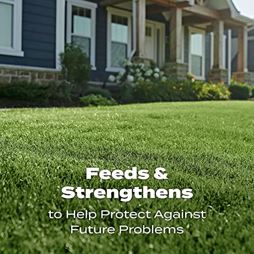 Scotts Turf Builder Lawn Food - Fertilizer for All Grass Types, 5,000 sq. ft., 12.5 lbs.