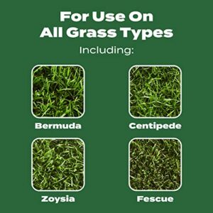 Scotts Turf Builder Lawn Food - Fertilizer for All Grass Types, 5,000 sq. ft., 12.5 lbs.