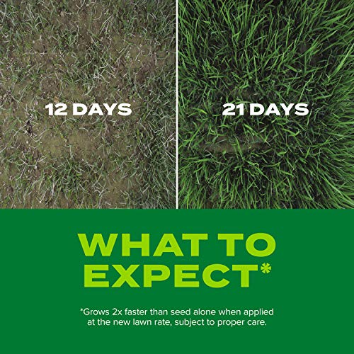 Scotts Turf Builder Rapid Grass Sun & Shade Mix, Combination Seed and Fertilizer, Grows Green Grass in Just Weeks, 5.6 lbs.