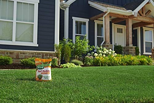 Scotts Turf Builder SummerGuard Lawn Food with Insect Control, 13.35 lbs.