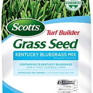 Scotts Turf Builder Grass Seed Kentucky Bluegrass Mix - 7 lb., Use in Full Sun, Light Shade, Fine Bladed Texture, and Medium Drought Resistance, Seeds up to 4,660 sq. ft.