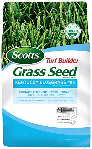 Scotts Turf Builder Grass Seed Kentucky Bluegrass Mix - 7 lb., Use in Full Sun, Light Shade, Fine Bladed Texture, and Medium Drought Resistance, Seeds up to 4,660 sq. ft.