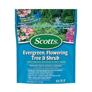scotts evergreen flowering tree & shrub continuous release plant food 3-pound