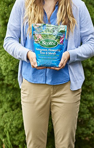 Scotts Evergreen Flowering Tree & Shrub Continuous Release Plant Food 3-Pound