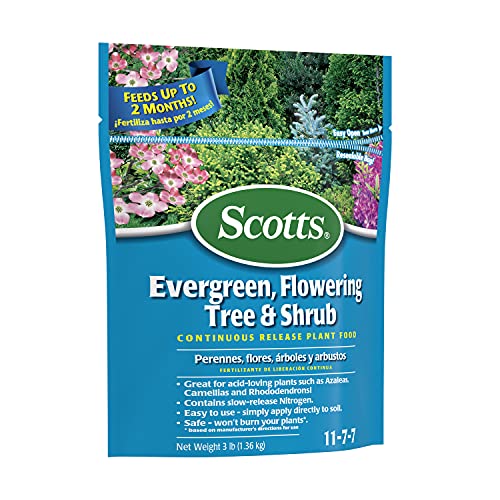 Scotts Evergreen Flowering Tree & Shrub Continuous Release Plant Food 3-Pound