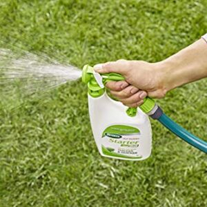 Scotts Turf Builder Starter Food for New Grass Ready-Spray, 32 oz.