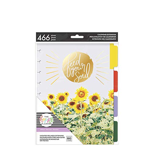 me & my BIG ideas 6 Month Wellness Extension - The Happy Planner Scrapbooking Supplies - 7 Pre-Punched Dividers - Undated Monthly & Weekly - 2 Sticker Sheets with Months and Numbers - Classic Size