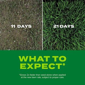 Scotts Turf Builder Rapid Grass, Grass Seed and Fertilizer Tall Fescue Mix, 16 lbs.